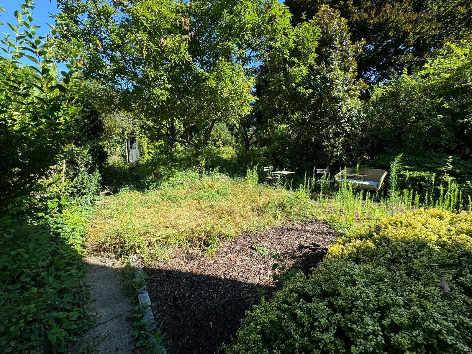 Yard cleanup work by Green Force Property Services